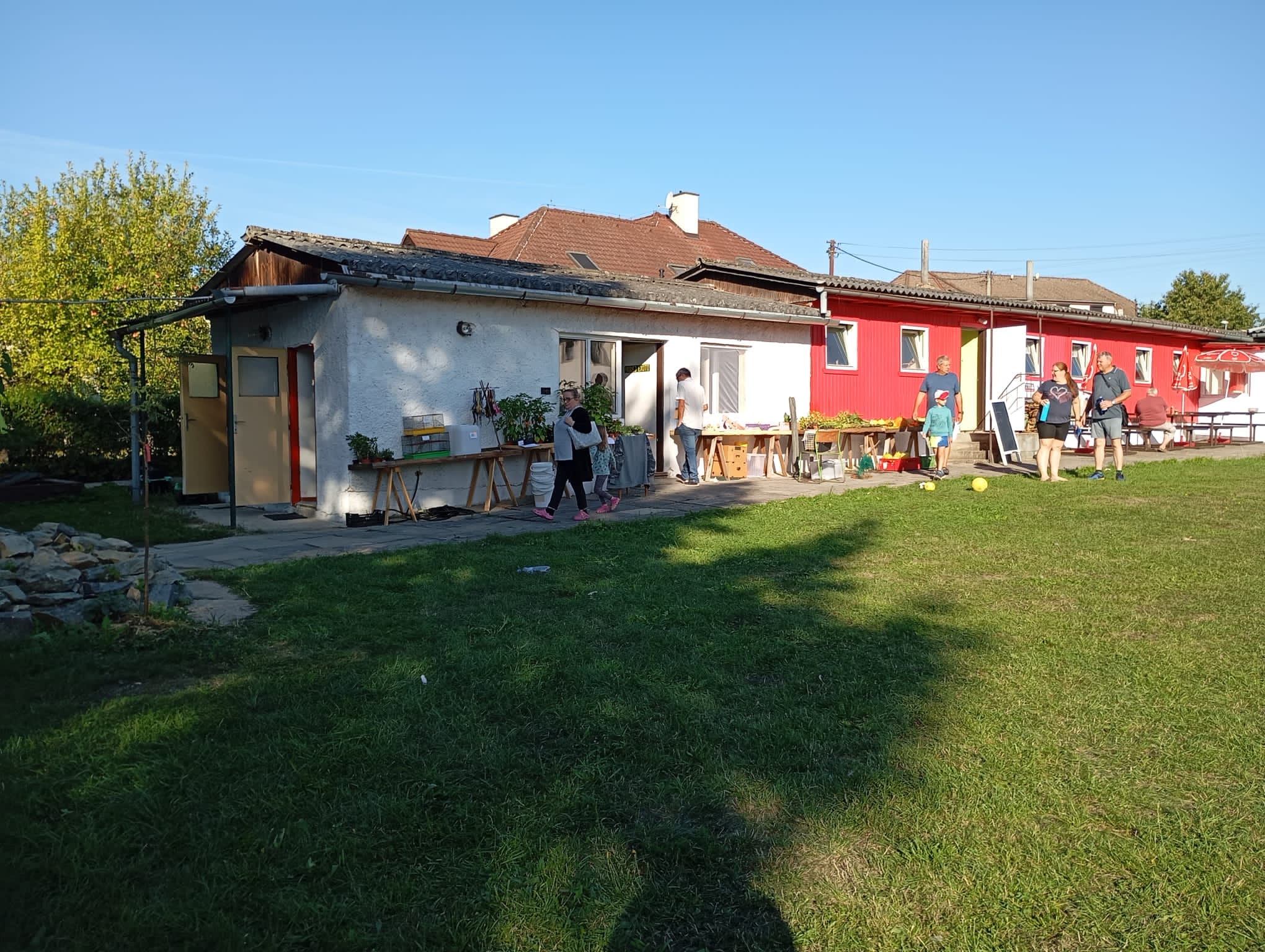 IMG-20240908-WA0036