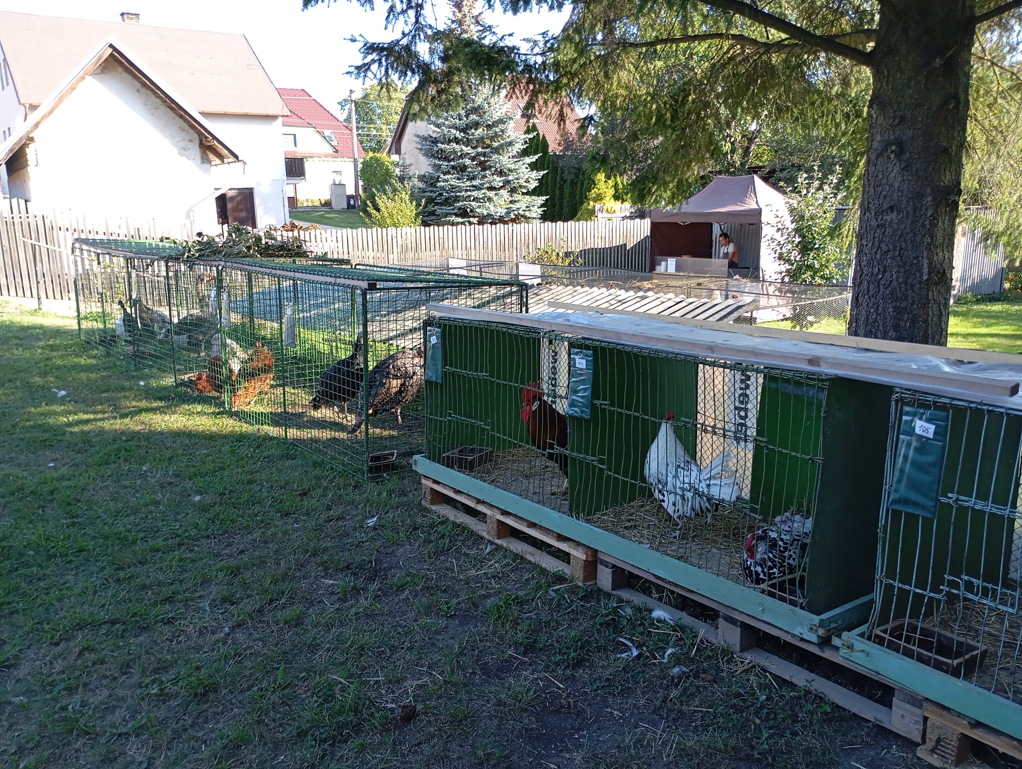 IMG-20240908-WA0044
