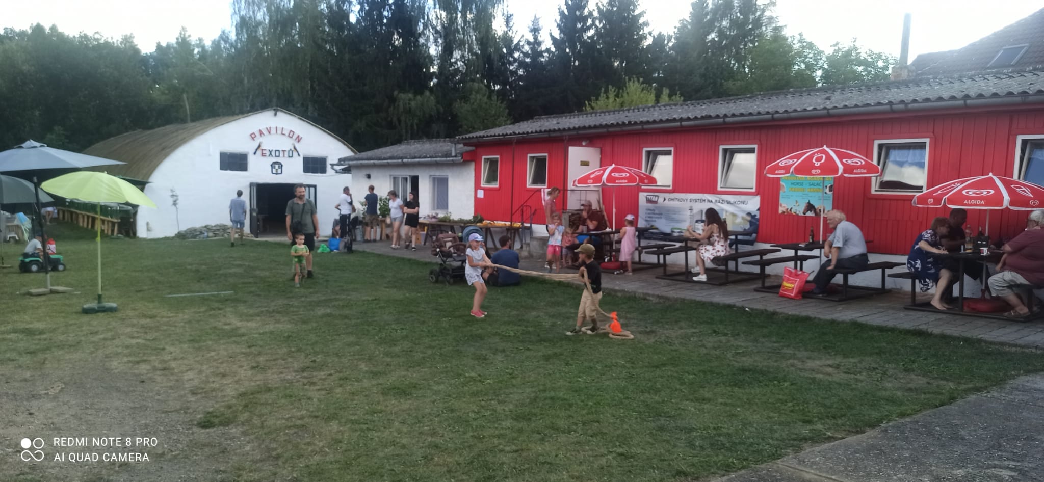 IMG-20240909-WA0004(1)